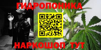 трава Кунгур