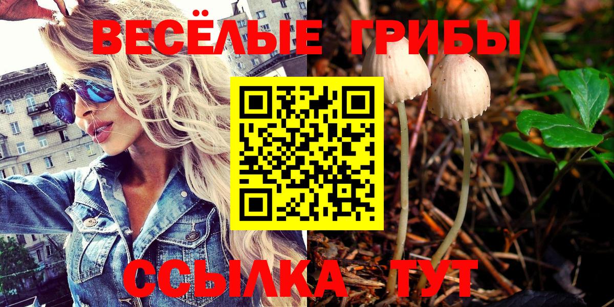 Псилоцибиновые грибы ЛСД  Вход с VPN  даркнет сайт  Галлюциногенные грибы MAGIC MUSHROOMS  Кировск 